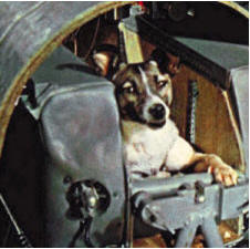 Space Dog Laika